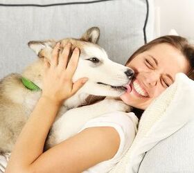 New Study Proves Dogs Recognize Human Emotion