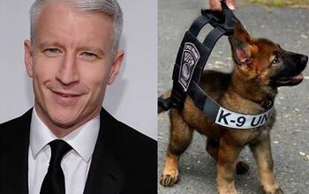 Anderson Cooper Donates Bulletproof Vests to  Virginia K9 Unit