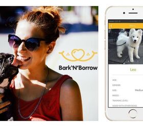 Need a Dog Fix? Bark’N’Borrow Can Set You Up With a Loaner