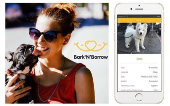 Need a Dog Fix? Bark’N’Borrow Can Set You Up With a Loaner