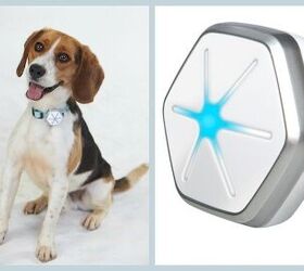 Day or Night, StarWalk Puts Your Pooch on the Path to a Healthier Life