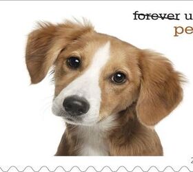 Pets Go Postal on First Class “Forever Pets” Stamps