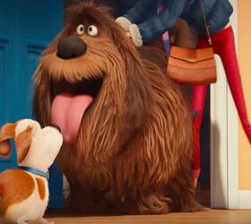 New Trailer Launched for The Secret Life of Pets Movie [Video]