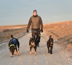 Take a Hand’s Off Approach to Dog Walks With Hands-Free Walking Syst