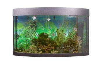 Top 3 Most Popular Types of Aquarium Filters