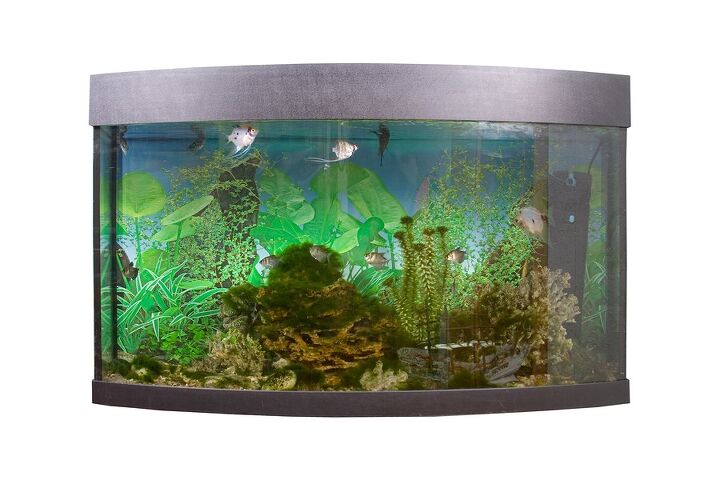 top 3 most popular types of aquarium filters