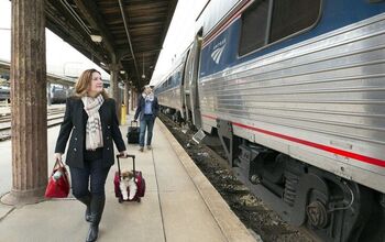 Chew, Chew on This: Pets on Trains Service Permanent on Amtrak