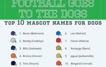 Football Fans Score a Touchdown When Naming Their Dogs [Infograph]
