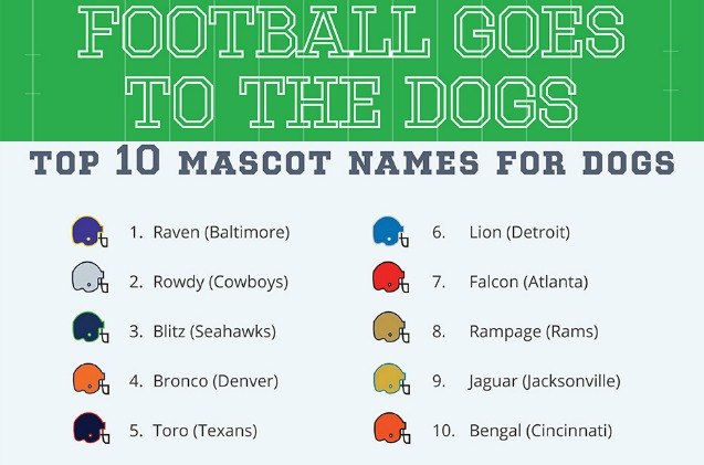 football fans score a touchdown when naming their dogs infograph