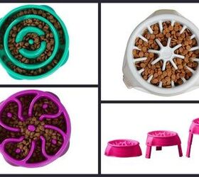 Nimble Nibblers Need Outward Hound’s SloBowl Feeder PetGuide