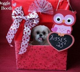 DIY Doggy Kissing Booth
