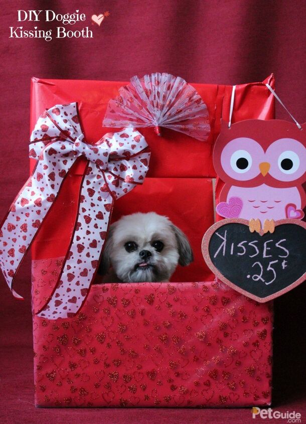 diy doggy kissing booth