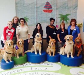 Shelter Spotlight: Educated Canines Assisting With Disabilities