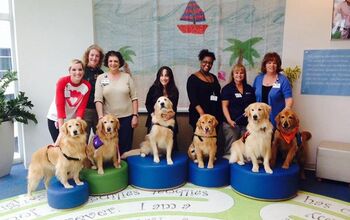 Shelter Spotlight: Educated Canines Assisting With Disabilities