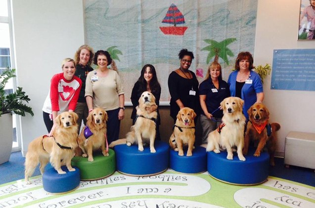 shelter spotlight educated canines assisting with disabilities