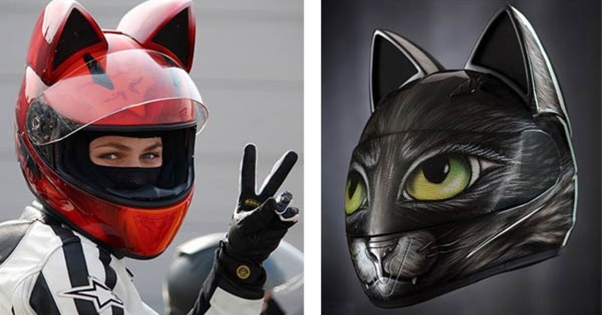 could i get arrested for cat motorcycle helmet KUNBIUH Pet Cat/Dog, Full Face, Outdoor, Black : Pet Supplies Enhance your motorcycle helmet with a trendy cat helmet cover from Ubuy Italy We're All Ears for the