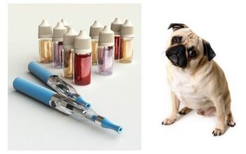 Vaping and Dogs: Is It a Safe Alternative Around Your Pets?