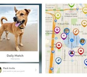 Make a Local Doggy Play Date With the BarkHappy App