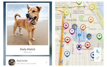 Make a Local Doggy Play Date With the BarkHappy App