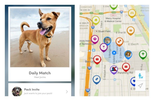 make a local doggy play date with the barkhappy app
