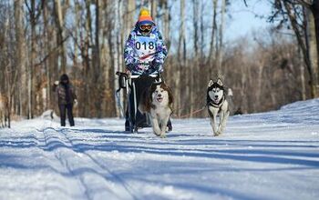 What’s the Difference Between a Kick Sled and a Dog Sled?