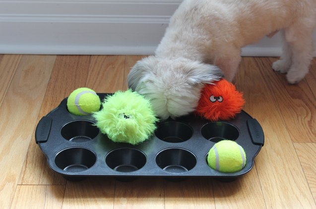 diy tennis ball dog toys