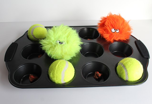 diy tennis ball dog toys