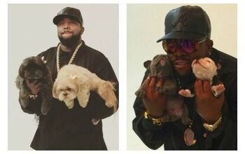 OutKast’s Big Boi’s New Dog Shampoo Leaves Pooches Smelling Fur-oc