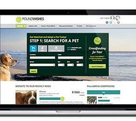 PoundWishes Offers Rescues a New Tool for Fundraising