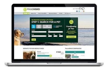 PoundWishes Offers Rescues a New Tool for Fundraising