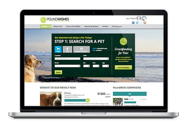 poundwishes offers rescues a new tool for fundraising