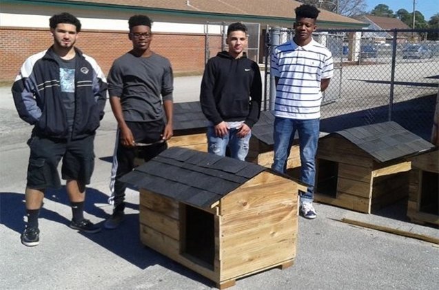 high schoolers help homeless hounds by building dog houses