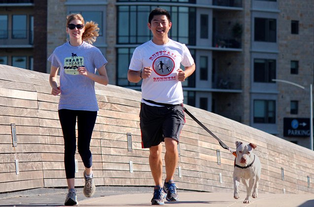 dogs and joggers pound the pavement for fitness and forever homes
