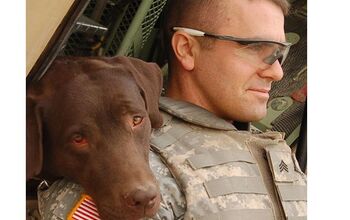 New Bill Passed to Bring Military Dogs Back Home