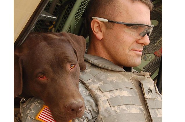 new bill passed to bring military dogs back home