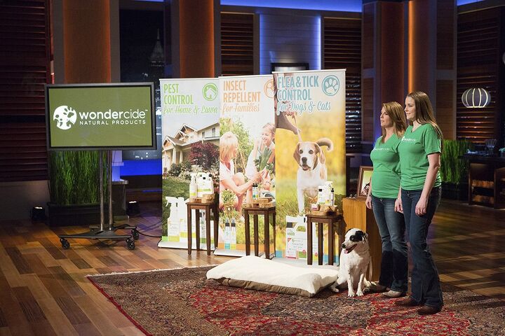 wondercide swims with the big fish on shark tank
