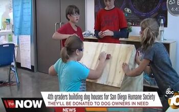 Young Students Build Dog Houses for Homeless Pups