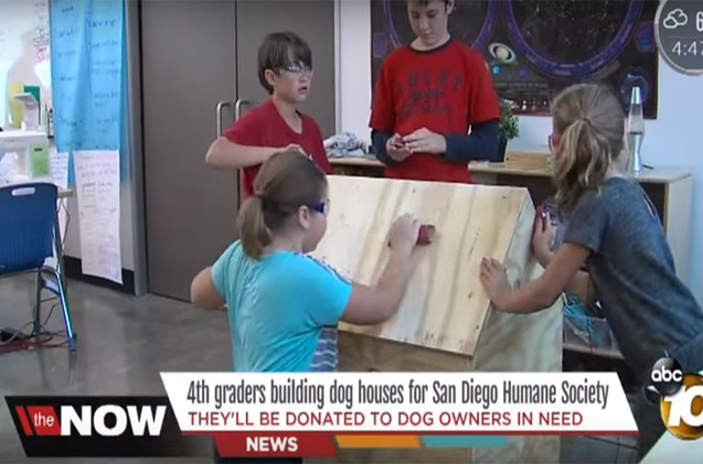 young students build dog houses for homeless pups