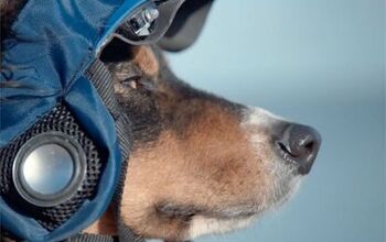 Das Funny! Volkswagen’s Prank Ad of Autonomous Dog Walking Gadget [V
