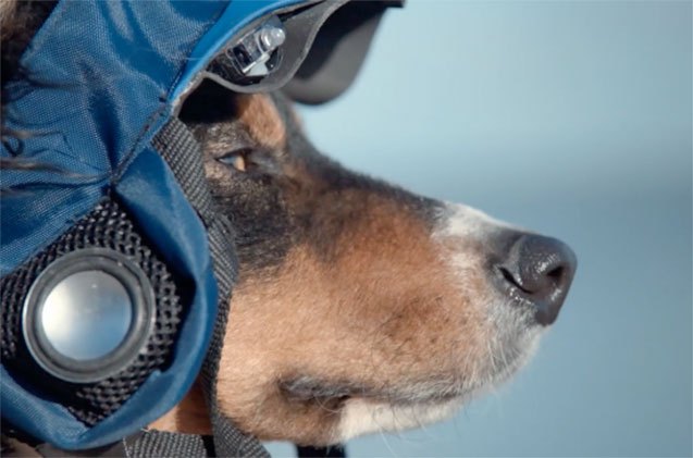das funny volkswagens prank ad of autonomous dog walking gadget v