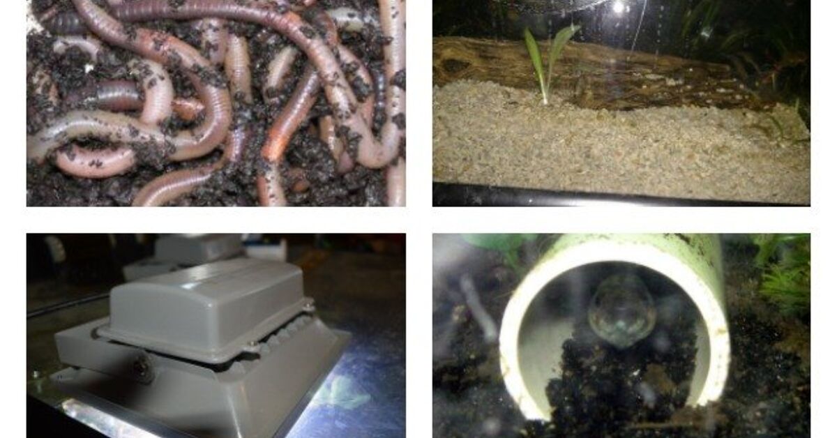 Beautiful view of Small Aquarium Maintenance Cost Cutting