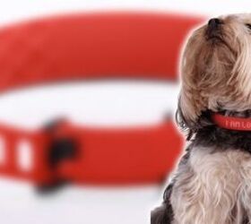 kyon pet tracker lets dogs talk to owners