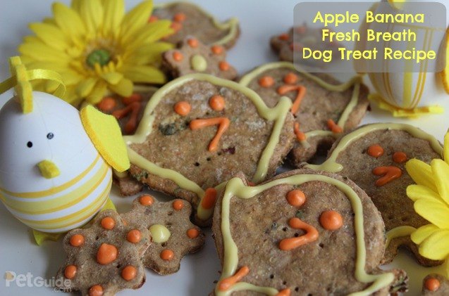 Apple banana dog treats Clearance