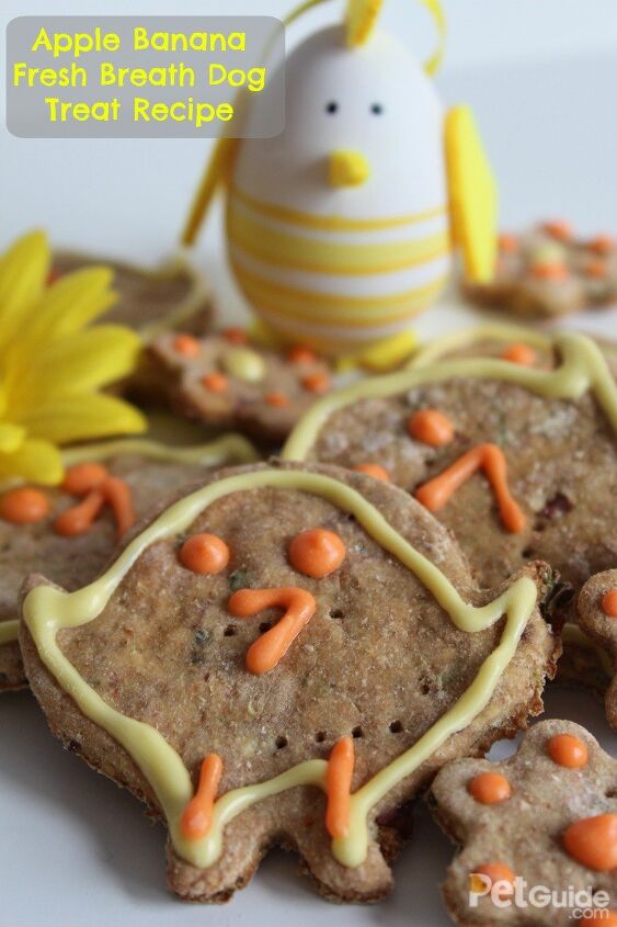 Apple banana dog treats Clearance