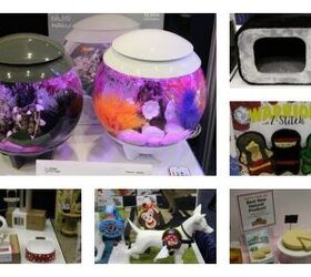 10 Cool New Products From 2016 Global Pet Expo