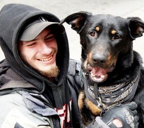 Study: Pets Provide Benefits for Homeless Youth