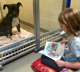 Kids Who Have a Ruff Time Reading Find Attentive Listeners in Dogs