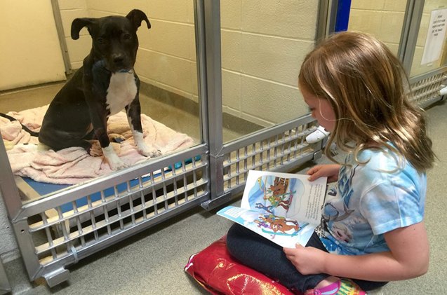 kids who have a ruff time reading find attentive listeners in dogs