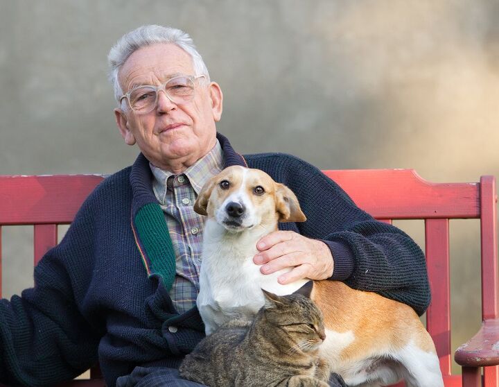 terminally ill patients able to keep pets thanks to pet peace of mind