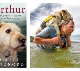 Arthur the Adventure Racing Stray Now a Published Author